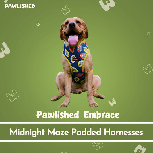PAWLISHED Embrace - Midnight Maze Padded Harnesses