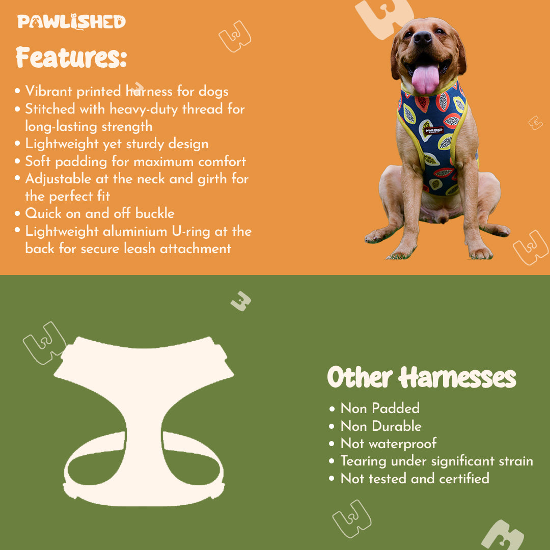 PAWLISHED Embrace - Midnight Maze Padded Harnesses