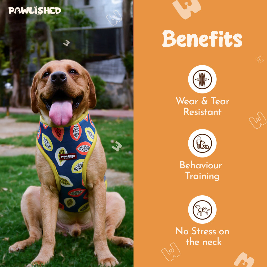 PAWLISHED Embrace - Midnight Maze Padded Harnesses