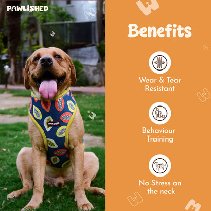 PAWLISHED Embrace - Midnight Maze Padded Harnesses