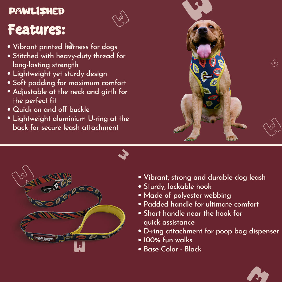 Pawlished Embrace Kit : Midnight Maze Combo