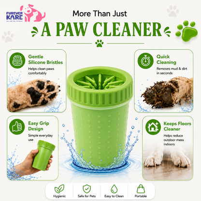 Rakhi Pet Pamper Combo