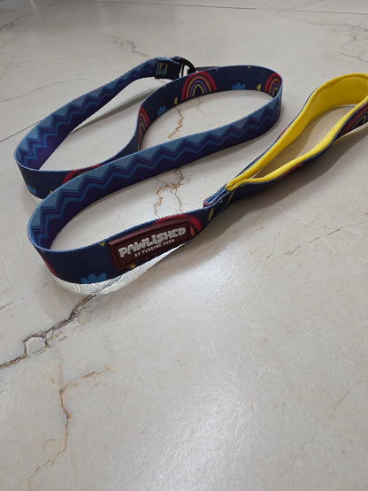 PAWLISHED Grips - Rainbow Romp Padded Leashes