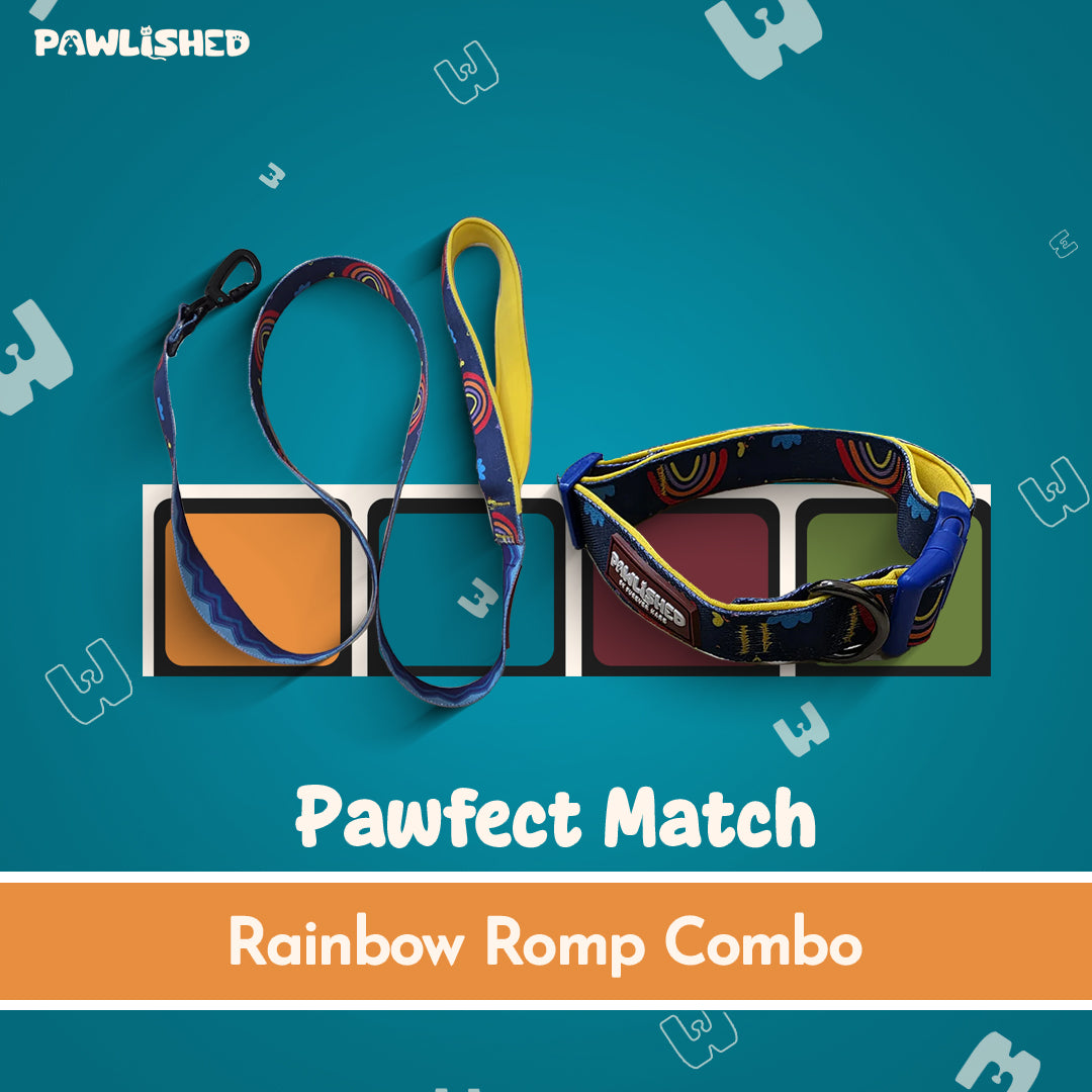 Pawfect Match : Rainbow Romp Combo – Furever Kare