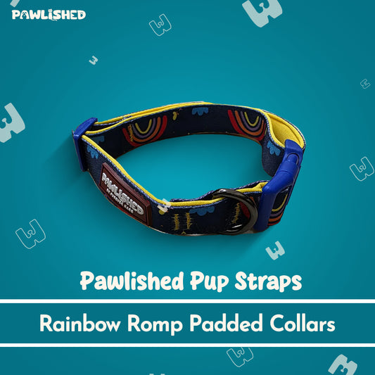 PAWLISHED Pup Straps - Rainbow Romp Padded Collars