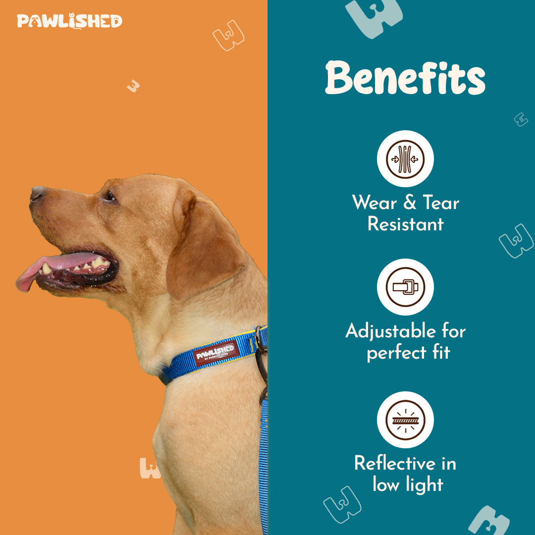 PAWLISHED Pup Straps - Rainbow Romp Padded Collars