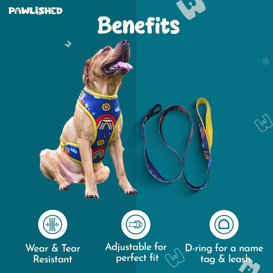 Pawlished Embrace Kit : Rainbow Romp Combo