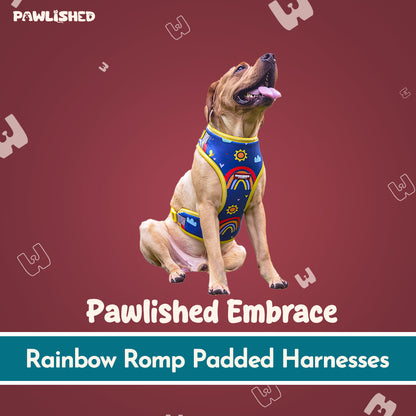 PAWLISHED Embrace - Rainbow Romp Padded Harnesses