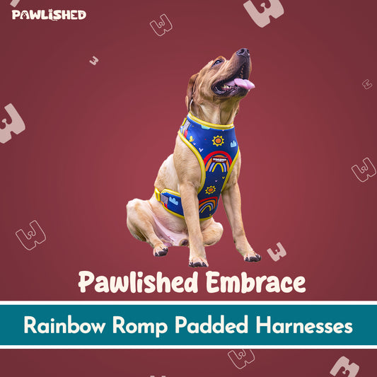 PAWLISHED Embrace - Rainbow Romp Padded Harnesses
