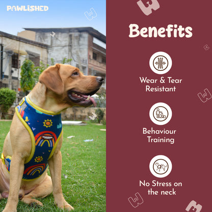 PAWLISHED Embrace - Rainbow Romp Padded Harnesses
