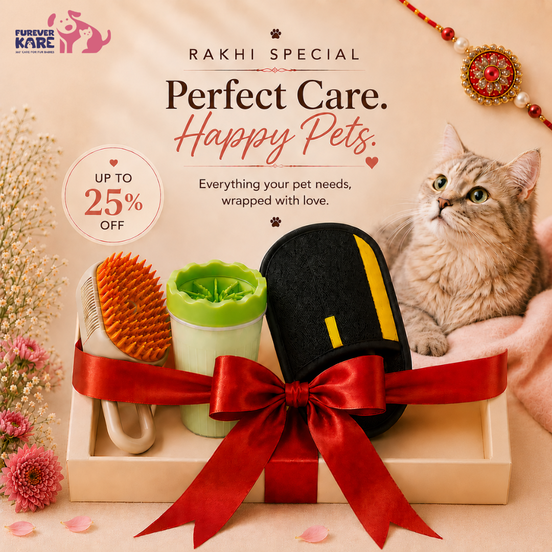 Rakhi Special Pet Care Combo – Complete Grooming Essentials