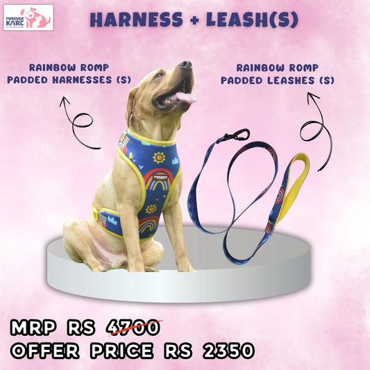 Pawlished Embrace Kit : Rainbow Romp Combo