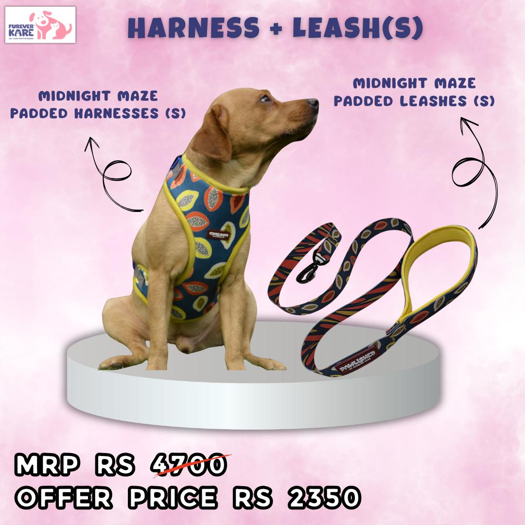Pawlished Embrace Kit : Midnight Maze Combo