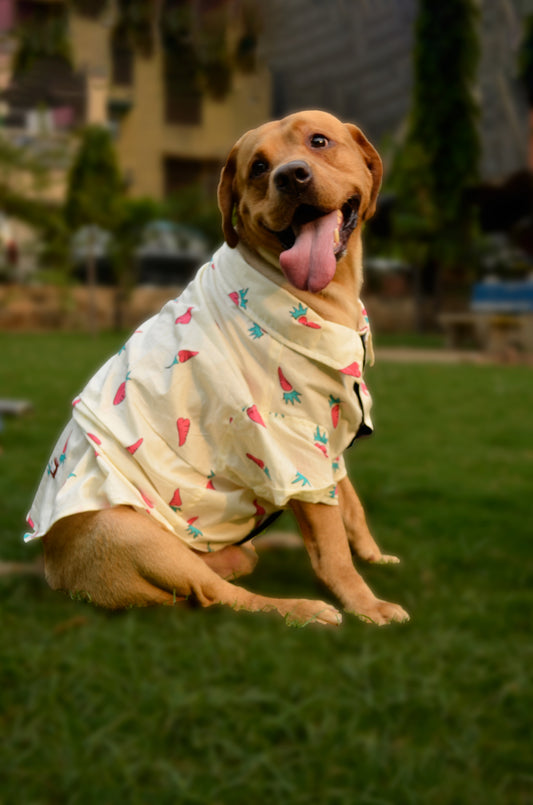 PAWLISHED Vanilla Wag Summer Shirts