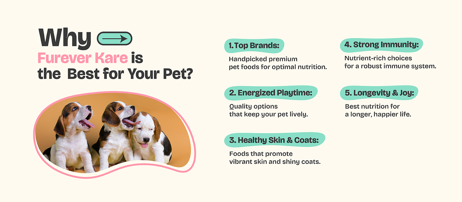 banner image desktop