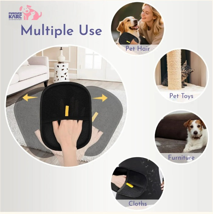 Rakhi Special Pet Care Combo – Complete Grooming Essentials