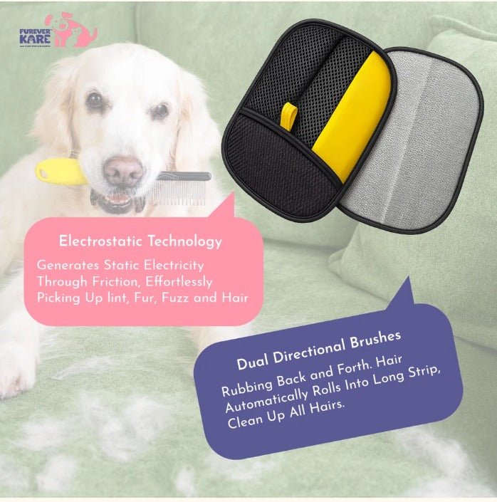 Rakhi Special Pet Care Combo – Complete Grooming Essentials