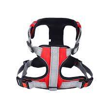 Basil Full Harness