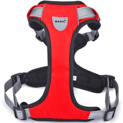 Basil Full Harness