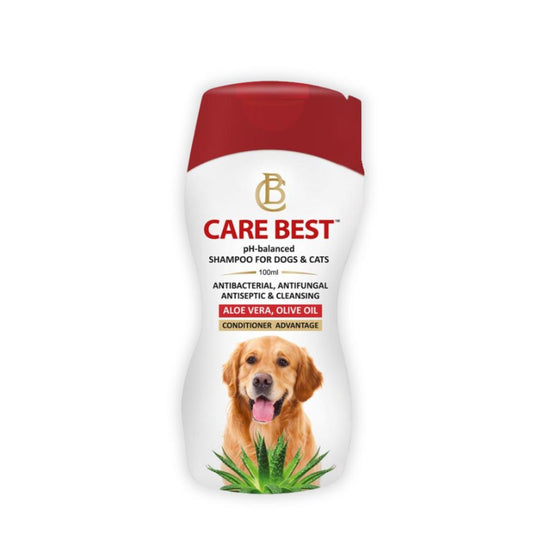 SkyEc Care Best Shampoo