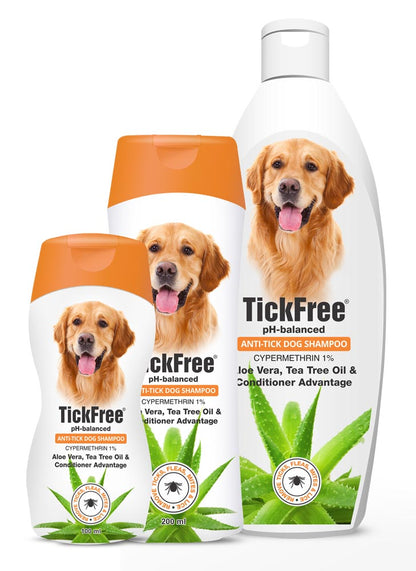 Doggo Daily Daily Doggo Essentials Combo β Furever Kare
